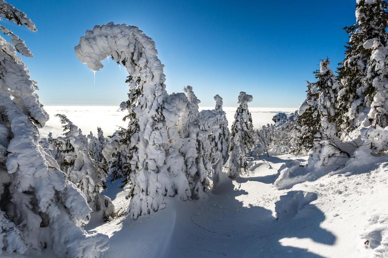 Hittenpichl Bodenmais Buitenkant foto